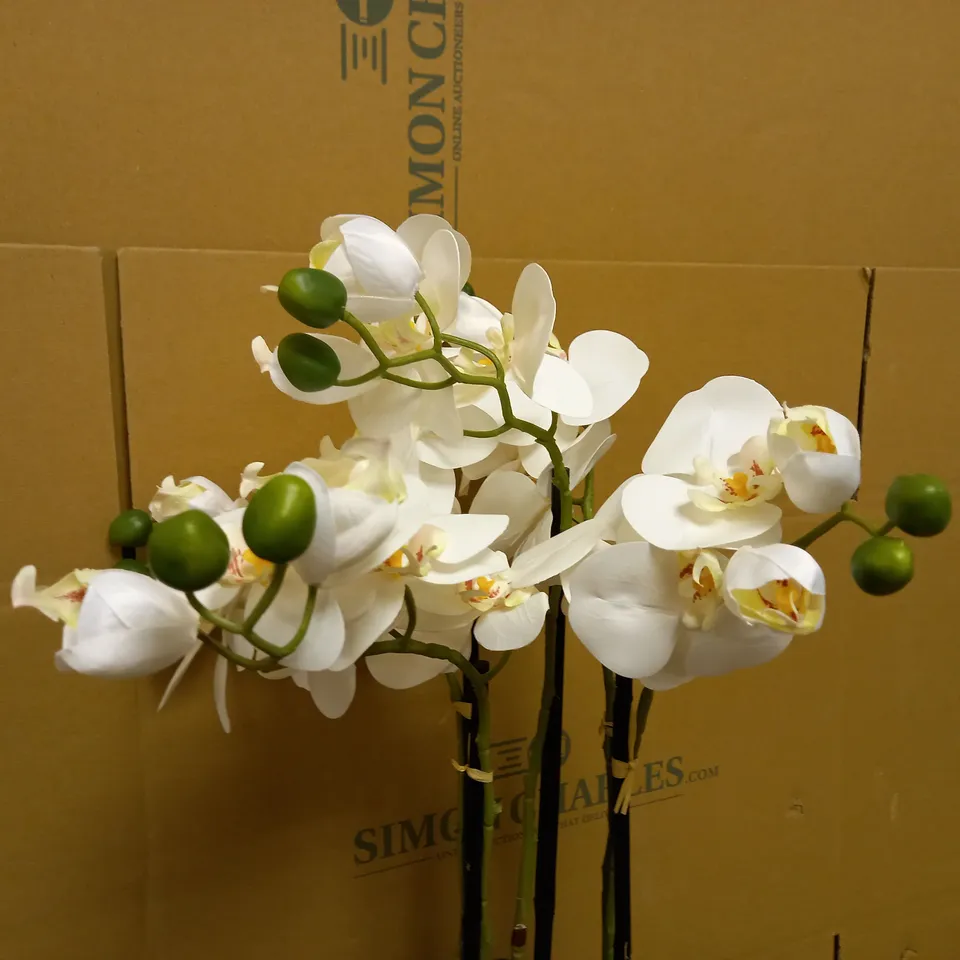 BOX OF MISCELLANEOUS LIGHTING & DECORATIVE ITEMS INCL, PHILIPS LIGHTBULBS & FAUX ORCHID
