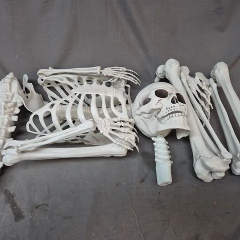 DECORATIVE SKELETON