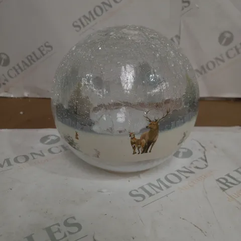 BOXED GALSS GLOBE WITH LED LIGHTING