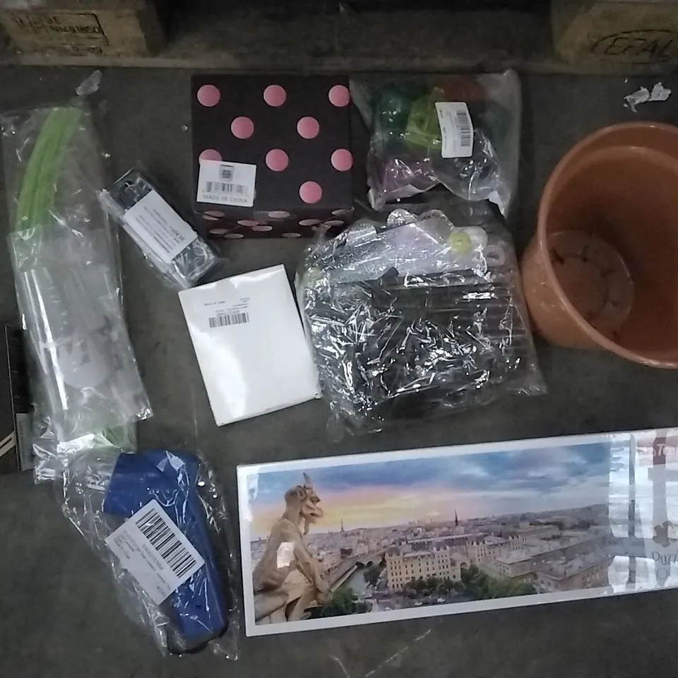 PALLET OF ASSORTED ITEMS INCLUDING 1000 PCS PANORAMA PUZZLE, BEST MOM EVER MUG, 6 SET SEED PROPAGATER, FELT CHRISTMAS TREE SET, POPETPOP PET TREAT LAUNCHER, VALENTINES HAIR THICKENING FIBRE 