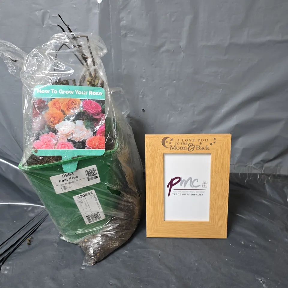 APPROXIMATELY 10 HOUSEHOLD ITEMS TO INCLUDE ROSE PLANT AND A PICTURE FRAME