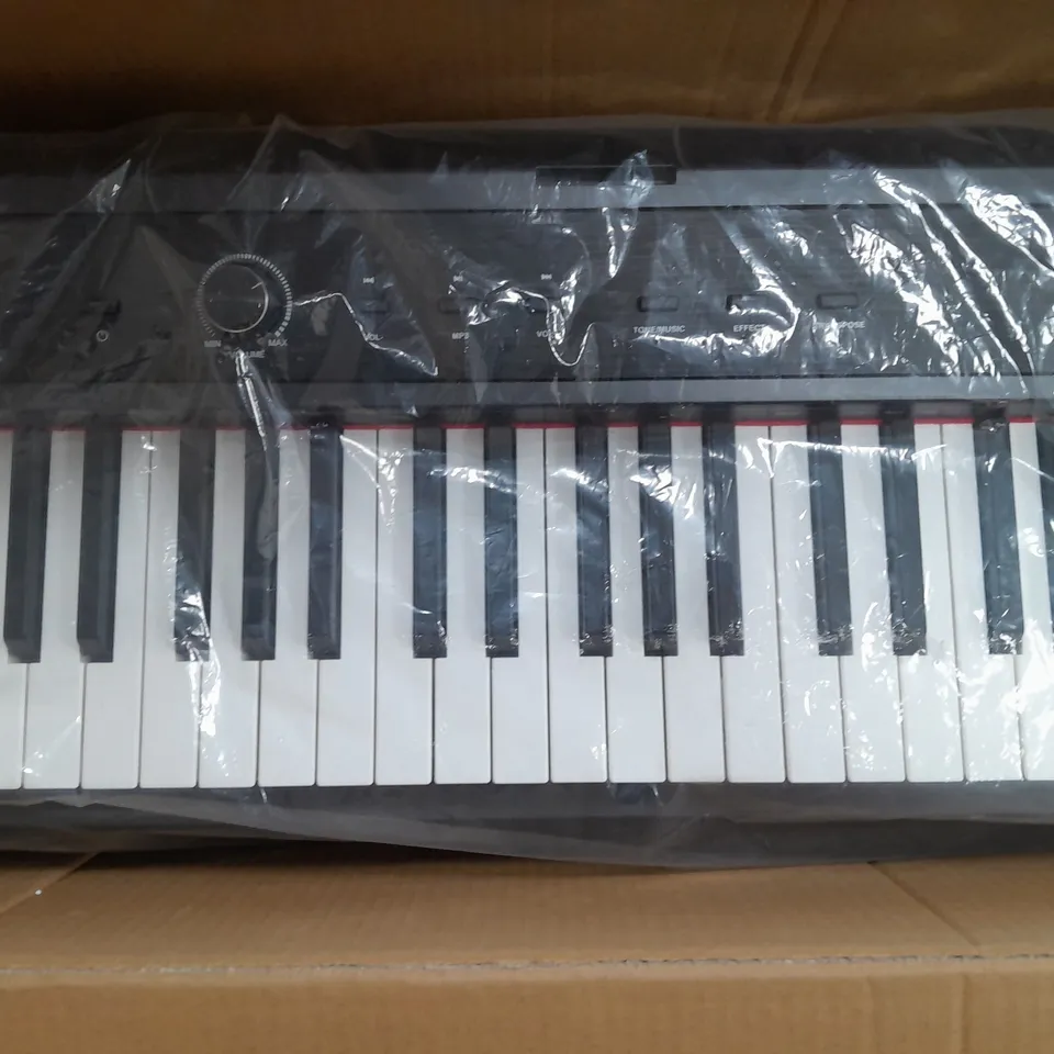 AXUS 88 KEY PORTABLE DIGITAL PIANO