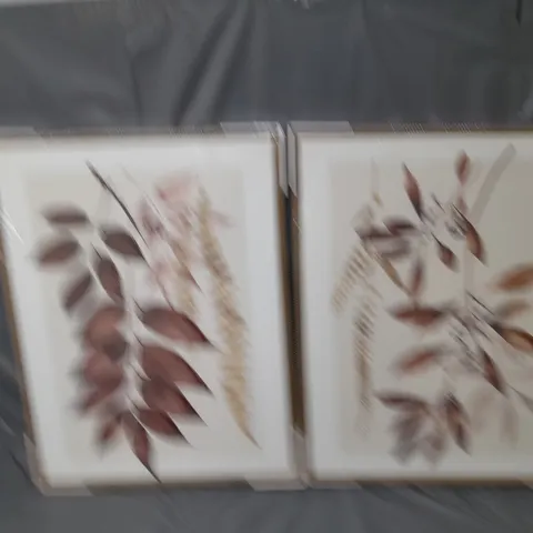 DRIED LEAF CANVAS WALL ART – SET OF 2