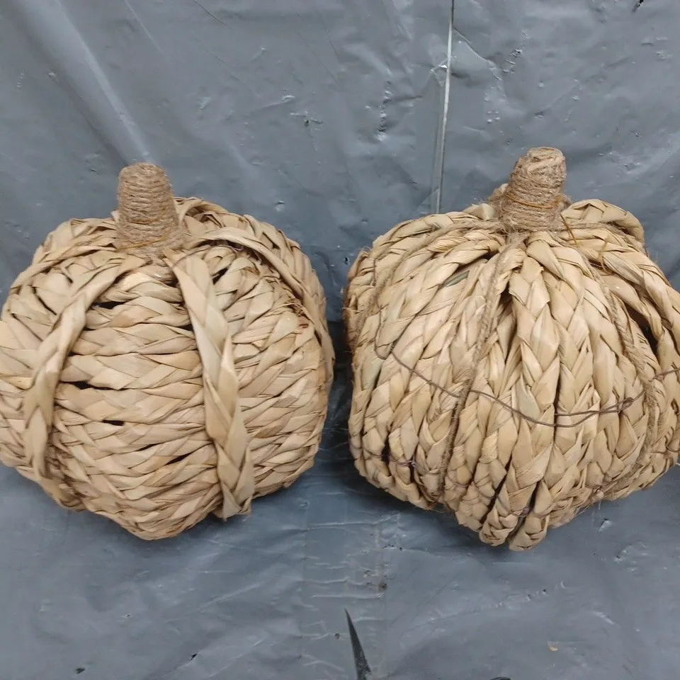 WICKER-EFFECT SET OF 2 PUMPKINS RRP £25.99