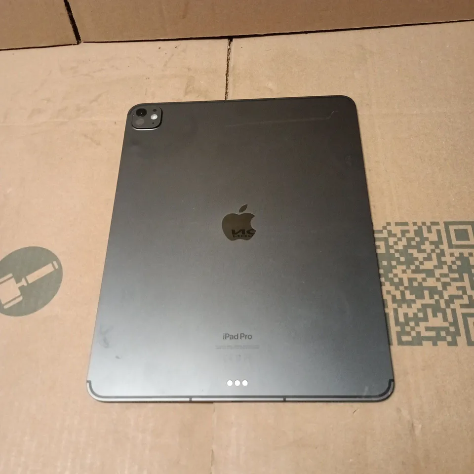 APPLE IPAD PRO 13 INCH