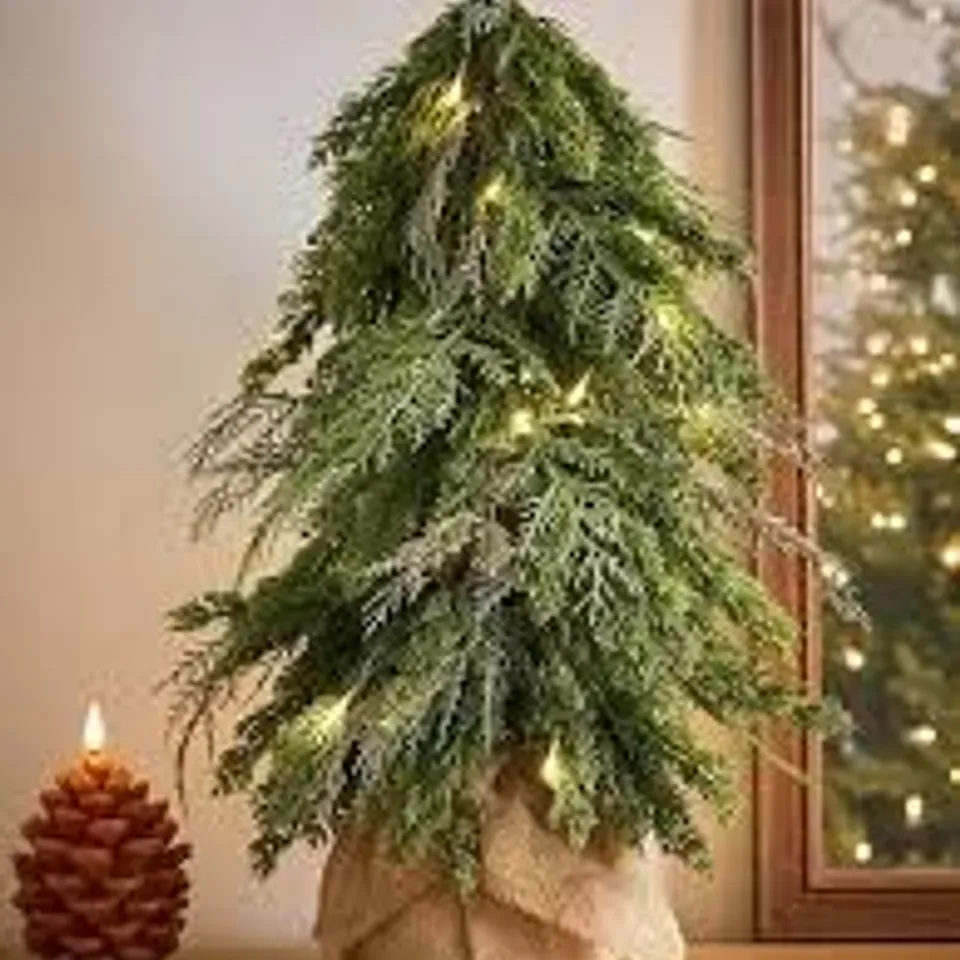 BOXED FERN PRE-LIT SMALL CHRISTMAS TREE - COLLECTION ONLY