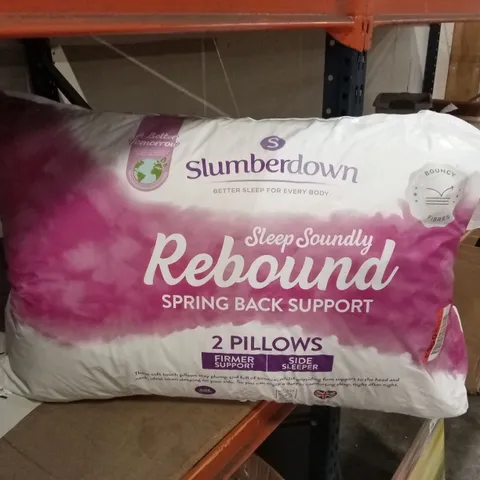 BAGGED SLUMBERDOWN SLEEP SOUNDLY SUPER SUPPORT PILLOW, 2 PACK