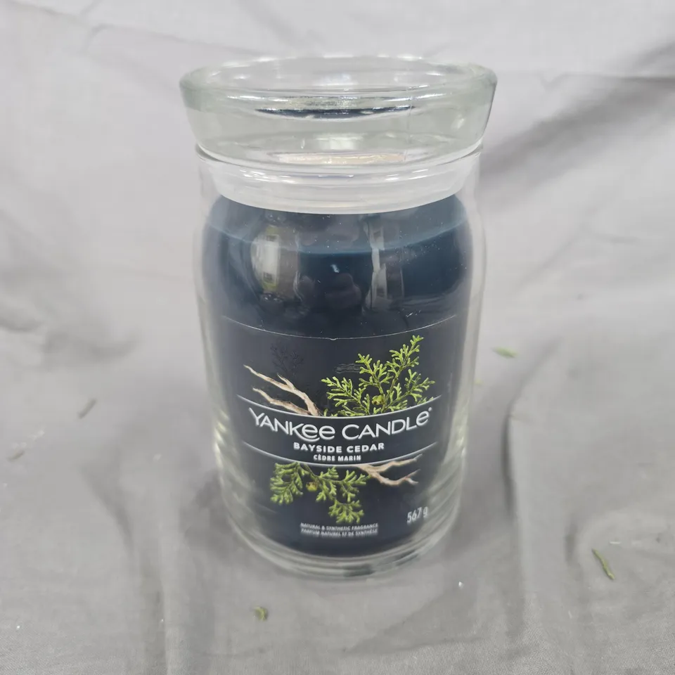 YANKEE CANDLE BAYSIDE CEDAR (567G) - COLLECTION ONLY