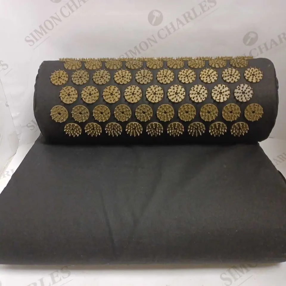 BOX OF 2 ITEMS TO INCLUDE ACUPRESSURE PILLOW AND MAT