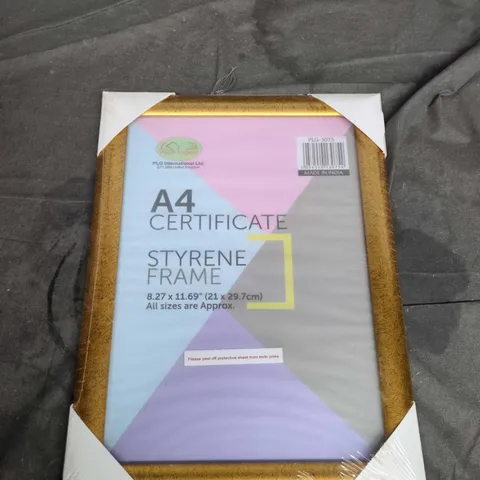24 X A4 CERTIFICATE STYRENE FRAMES 