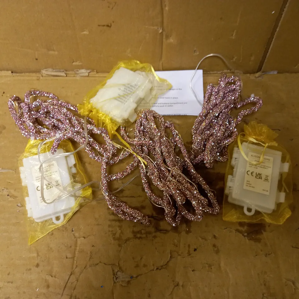 ALISON CORK SET OF 2M PRE-LIT GLITTER ROPE STRANDS 