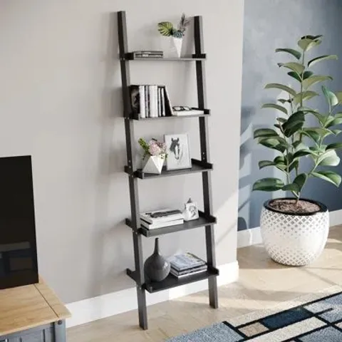 BOXED NORDIN LADDER BOOKCASE