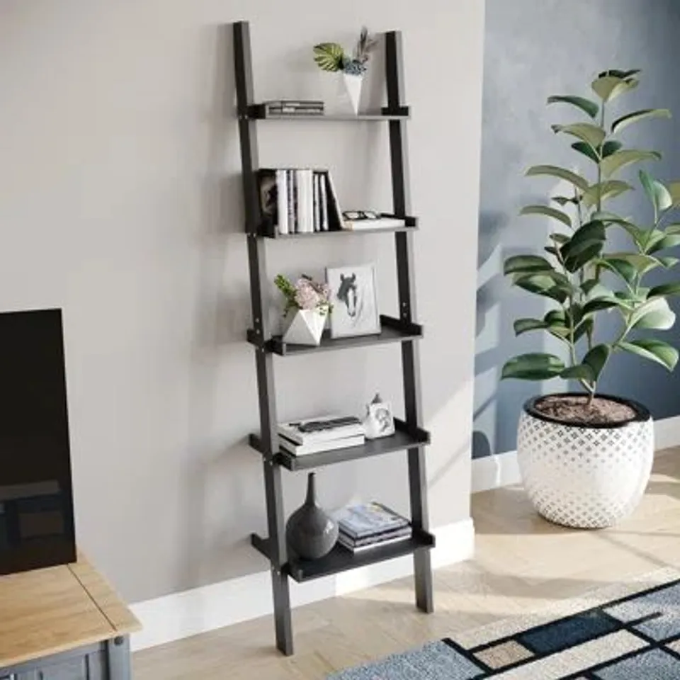BOXED NORDIN LADDER BOOKCASE