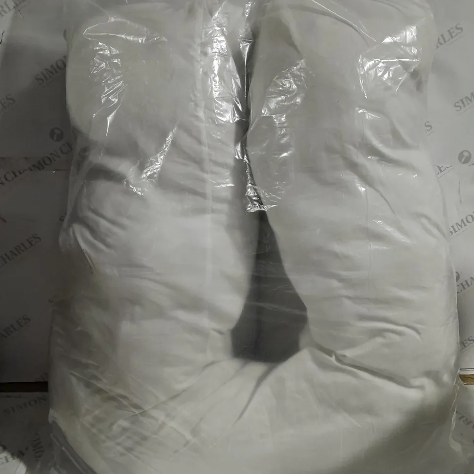 UNBRANDED SNUGGLE PILLOW IN WHITE