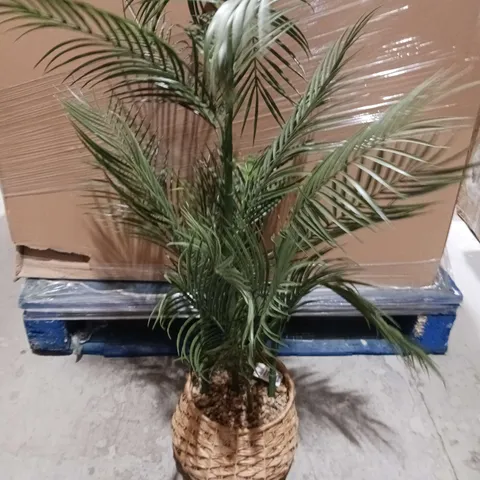100CM PALM IN PLASTIC ROPE BASKET - COLLECTION ONY