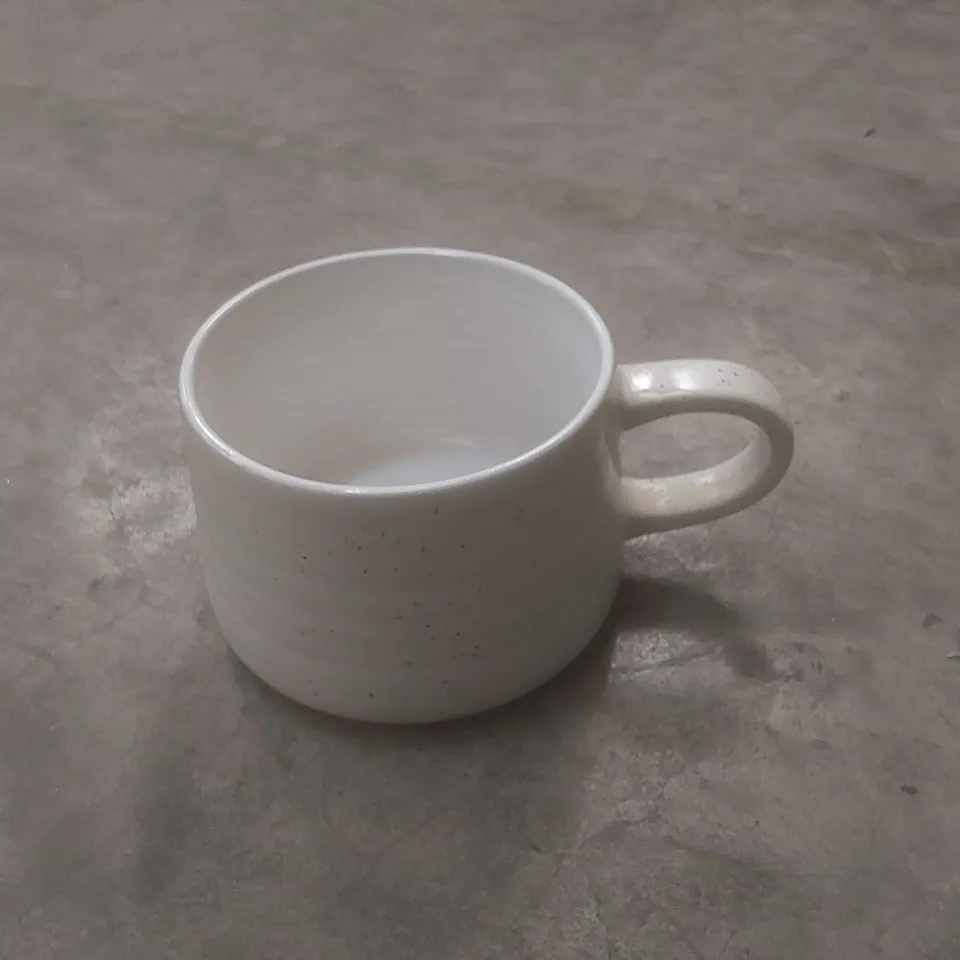 DUNELM FILEY MUG WHITE