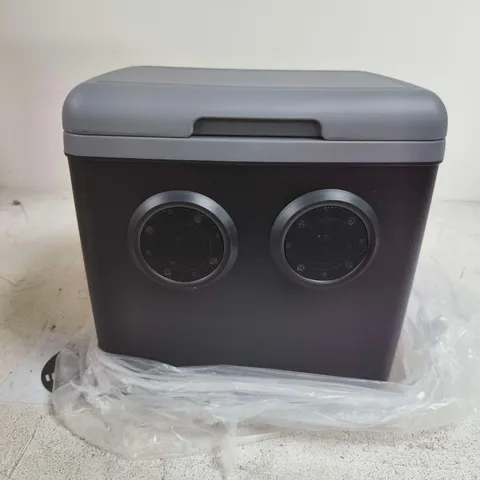 13L PORTABLE COOLER BOX WITH CARRY HANDLE