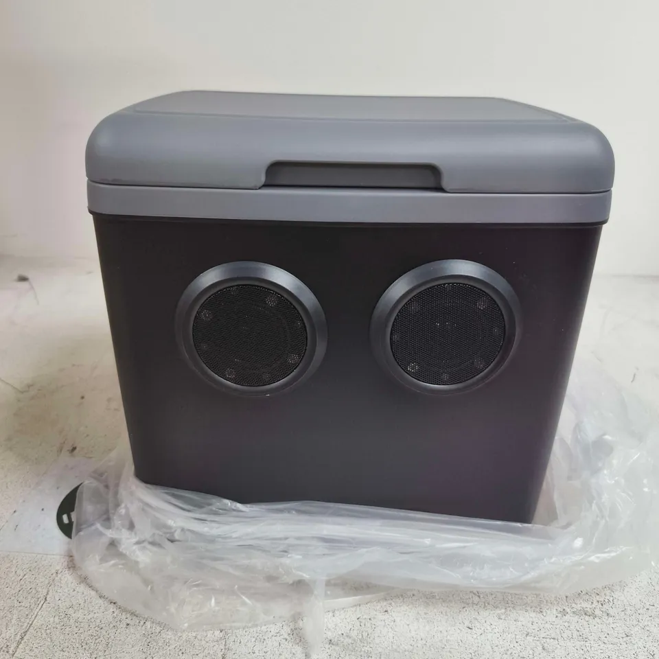 13L PORTABLE COOLER BOX WITH CARRY HANDLE