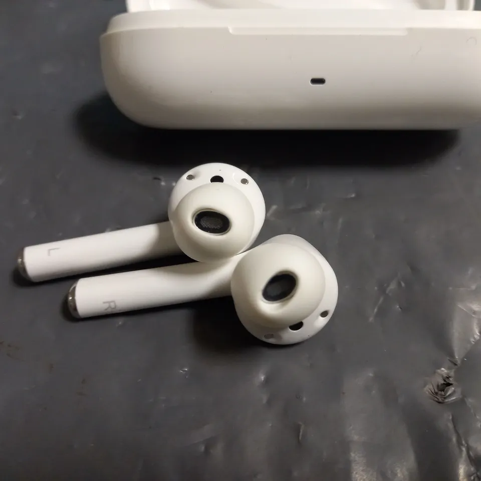 HONOR MAGIC EARBUDS