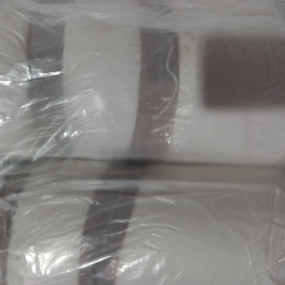 NORTHERN NIGHTS SET OF PUR FEATHER PILLOWS