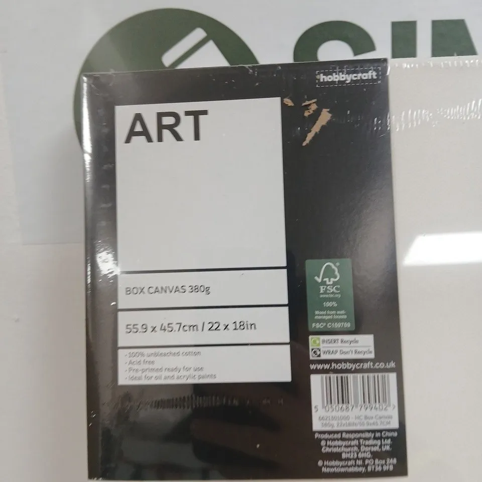 HOBBYCRAFT BOX CANVAS 380G – 55.9 X 45.7 CM (2 CANVASES), WITH BRUSH
