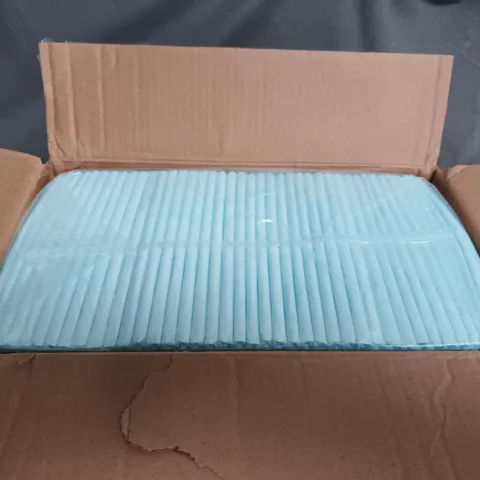 BOXED AMAZON PET TRAINING PADS 
