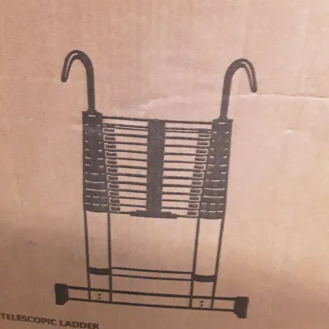 BOXED TEENZA 3.8M TELESCOPIC LADDER