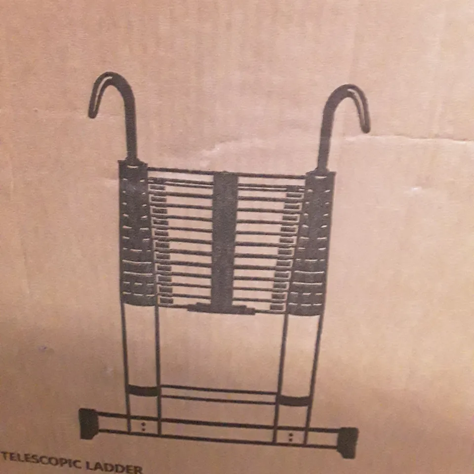BOXED TEENZA 3.8M TELESCOPIC LADDER