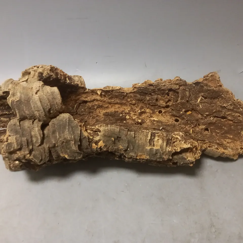 PIECE OF DECORATIVE CORK WOOD 55CM 