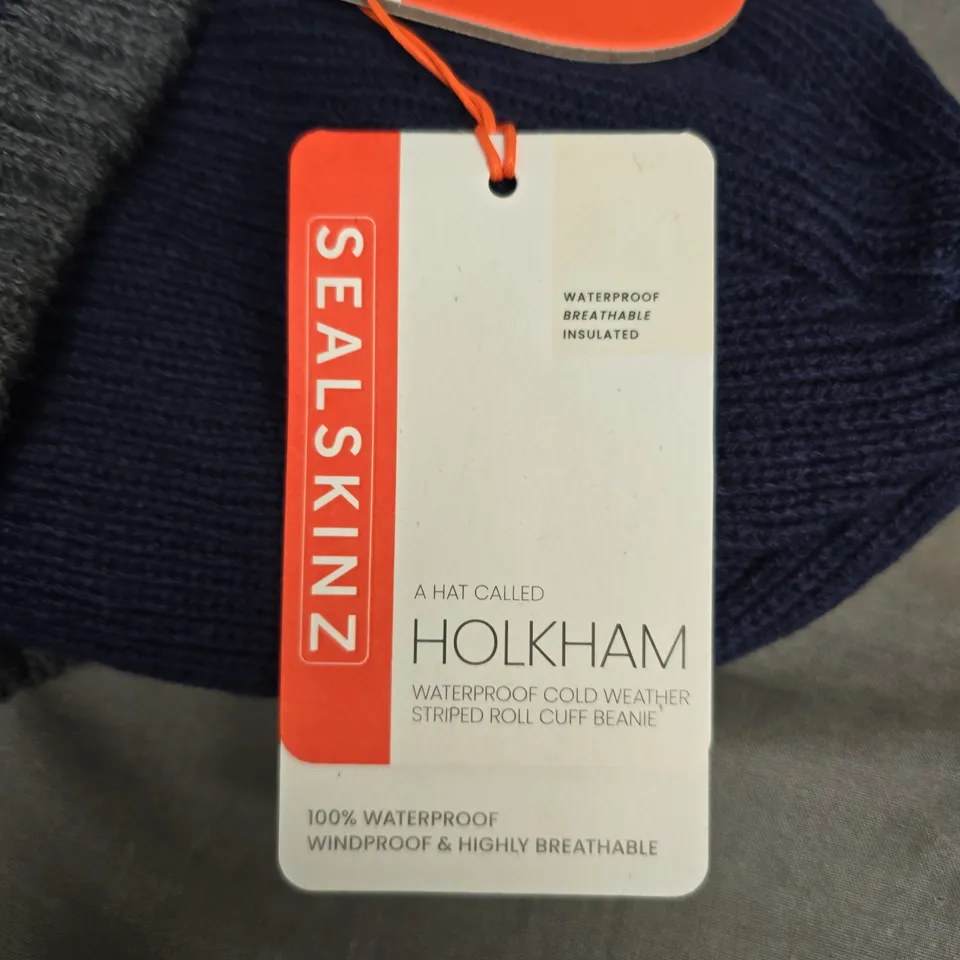 SEALSKINZ HOLKHAM BEANIE HAT – NAVY STRIPE, WATERPROOF & WINDPROOF