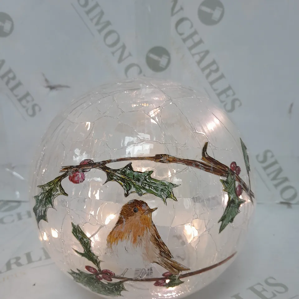 SEASONAL GLASS GLOBE DECORATION WITH LED LIGHTS
