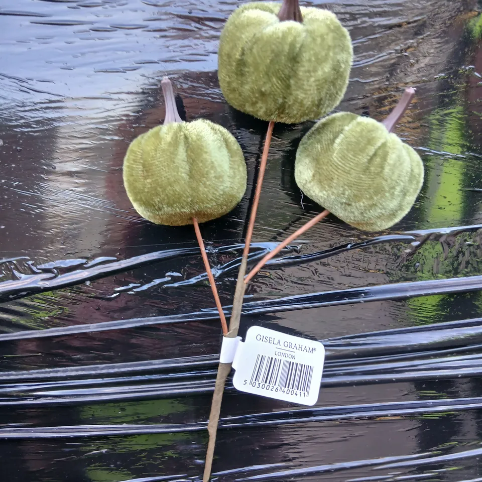 APPROXIMATELY 24 GRAHAM VELVET SEED POD STEM ARRANGEMENT – GREEN FAUX BOTANICALS