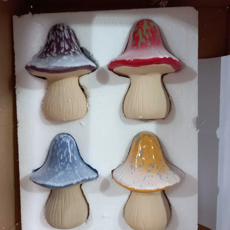 OUTDOOR ORNAMENTAL MUSHROOMS 