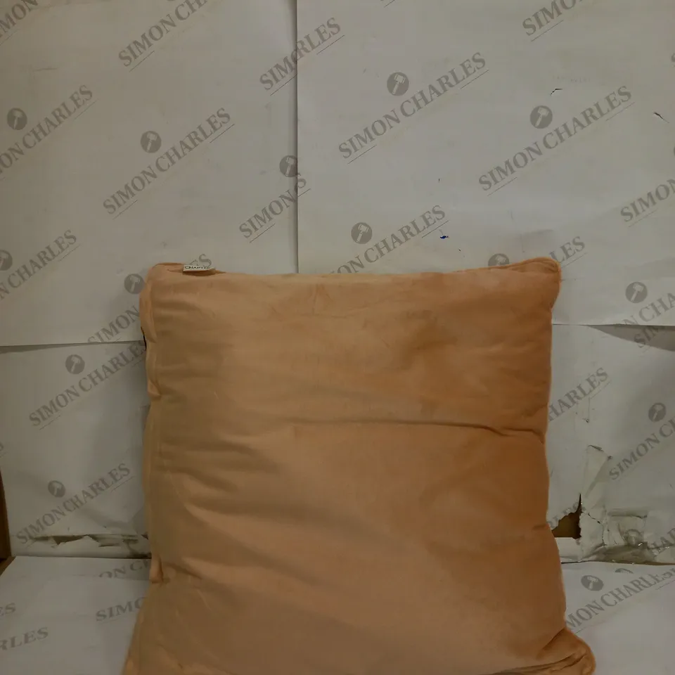 BOX OF 2 CHAPTER PILLOW IN PINK