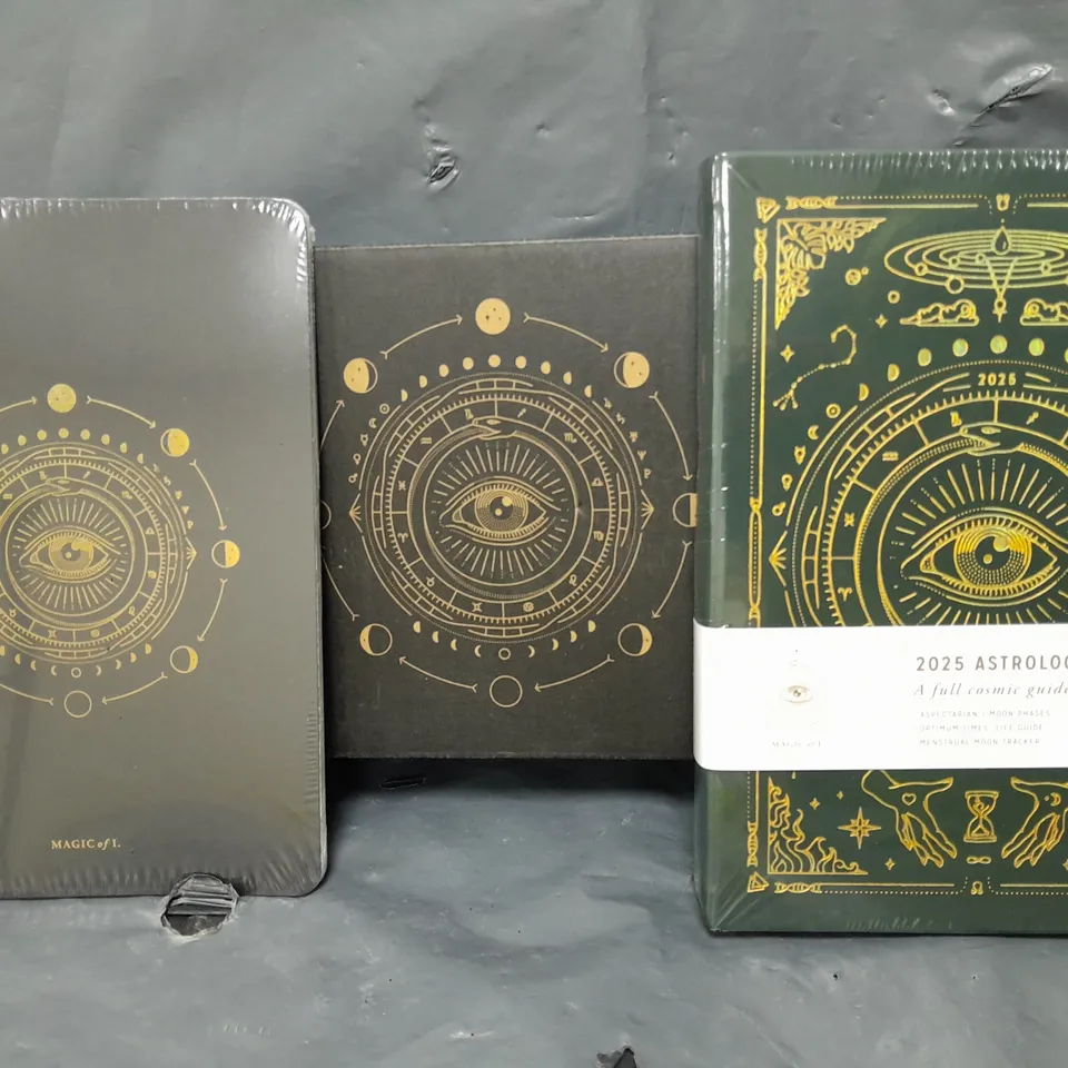 BOXED MAGIC OF 1 2025 ASTROLOGICAL PLANNER AND LINED NOTEBOOK SET