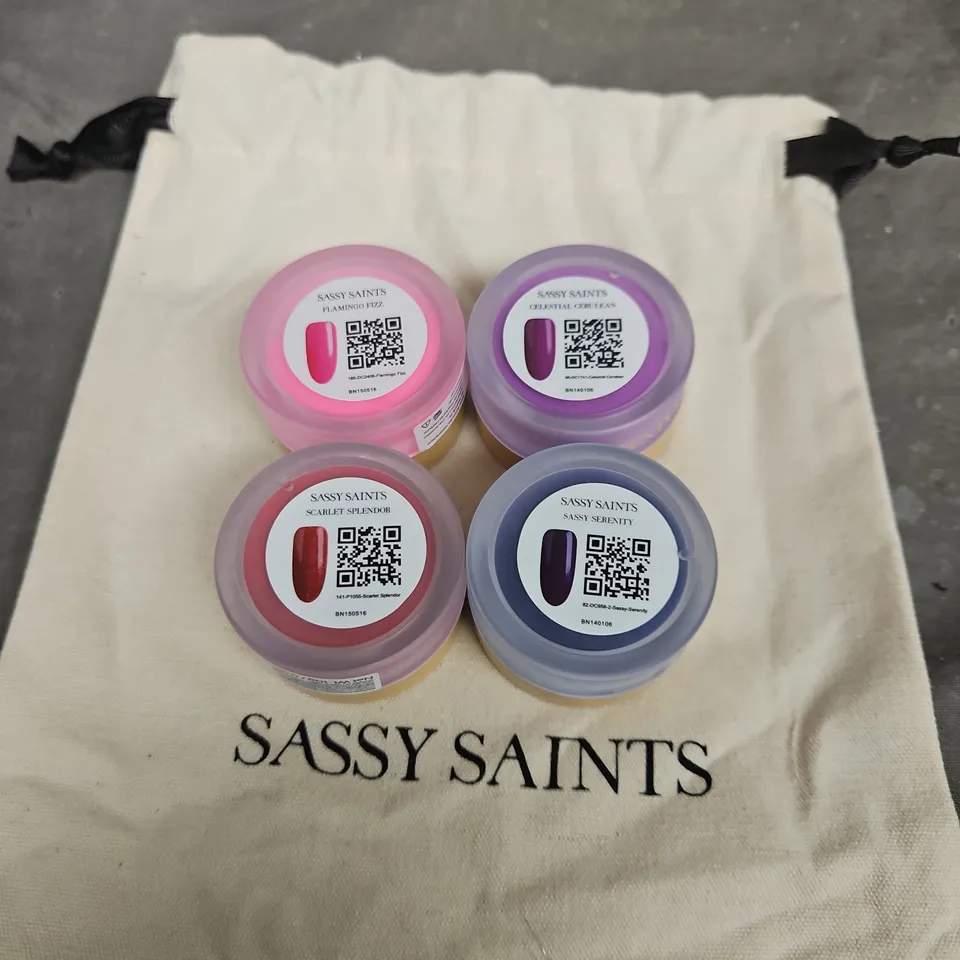 SASSY SAINTS X4 ASSORTED NAIL DIP POWDERS
