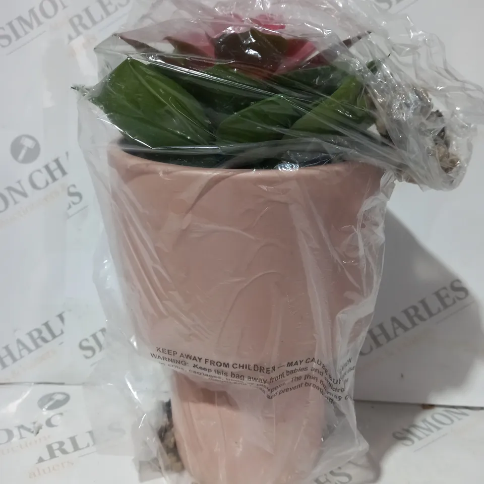BOXED BUNDLEBERRY BY AMANDA HOLDEN STANDING PLANTER WITH FAUX SUCCULENT