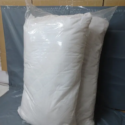 SET OF 2 PILLOWS