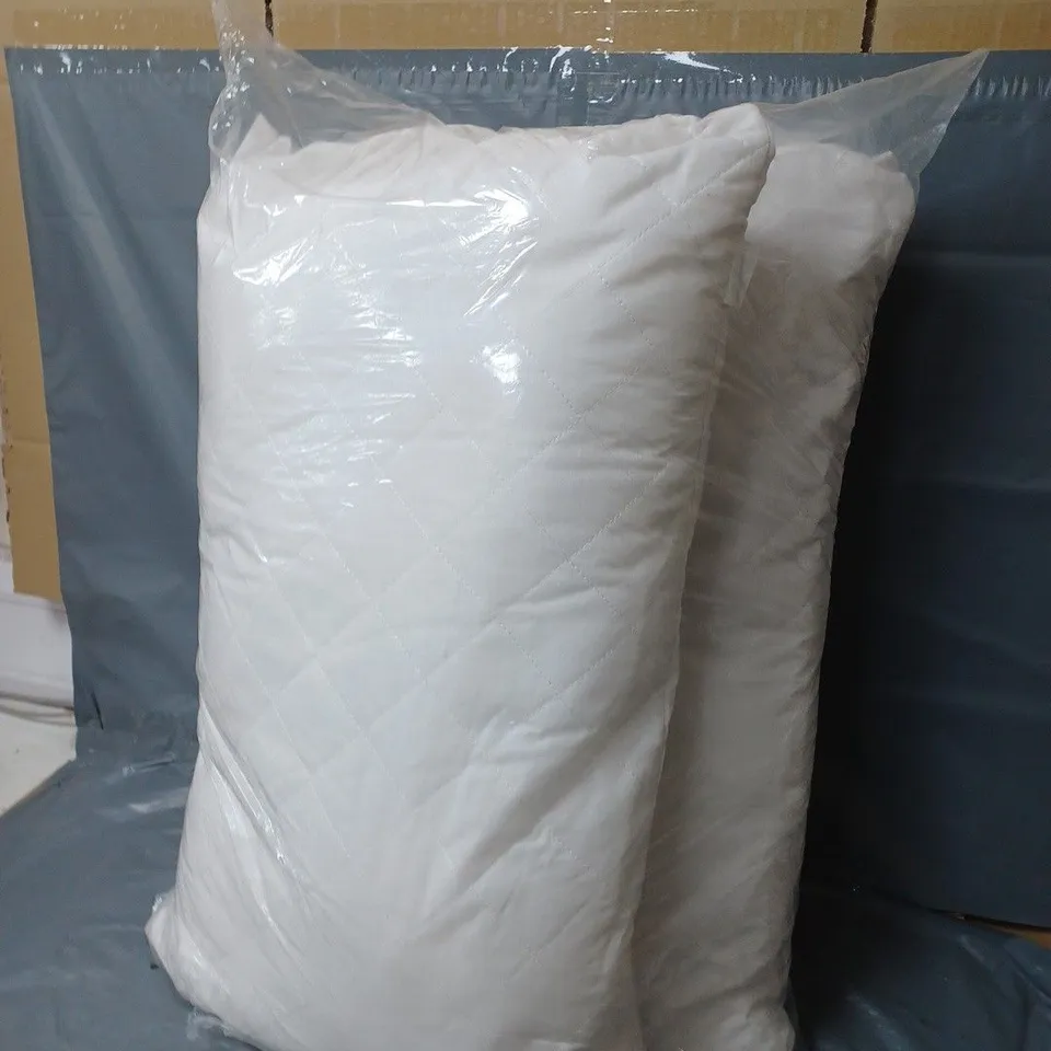 SET OF 2 PILLOWS