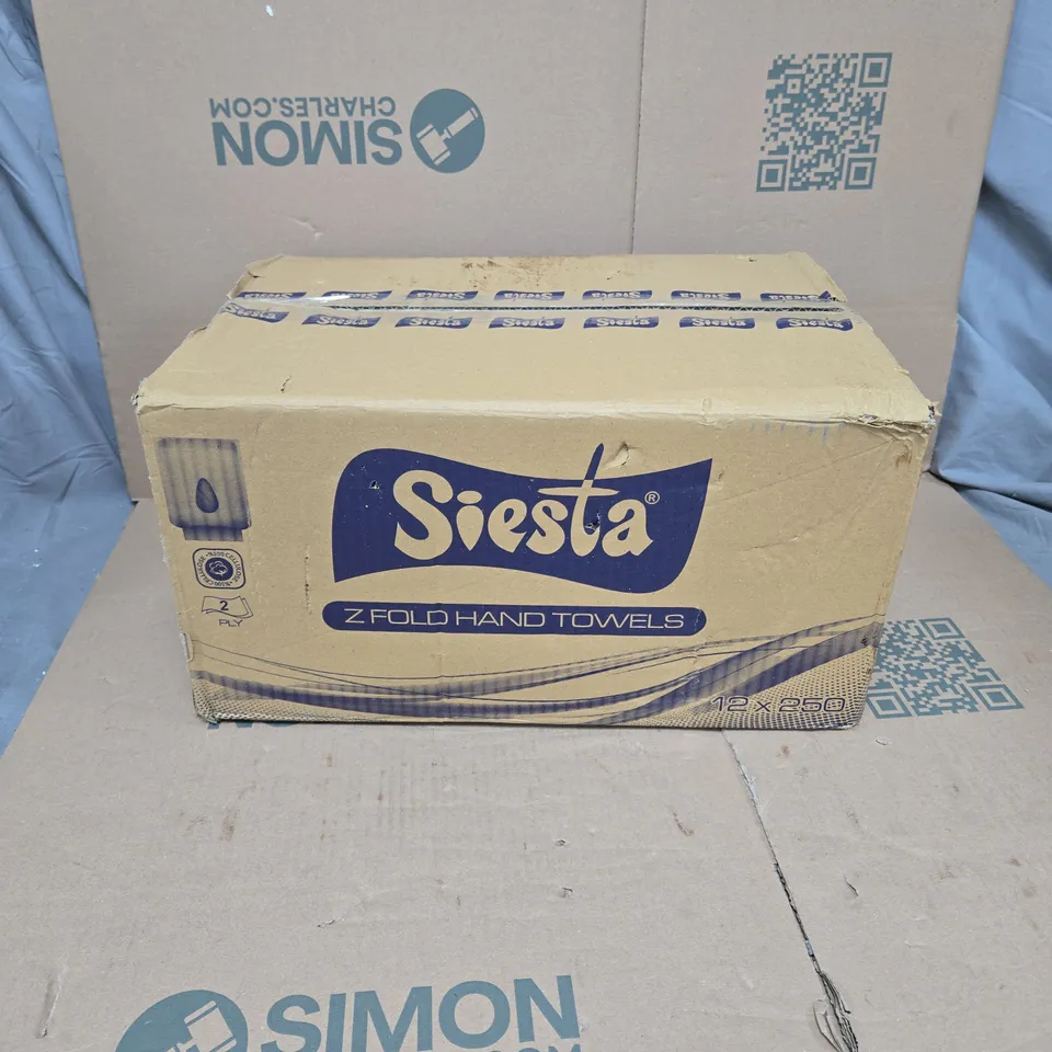 12 PACKS OF 2 PLY Z FOLD HAND TOWELS BOXED