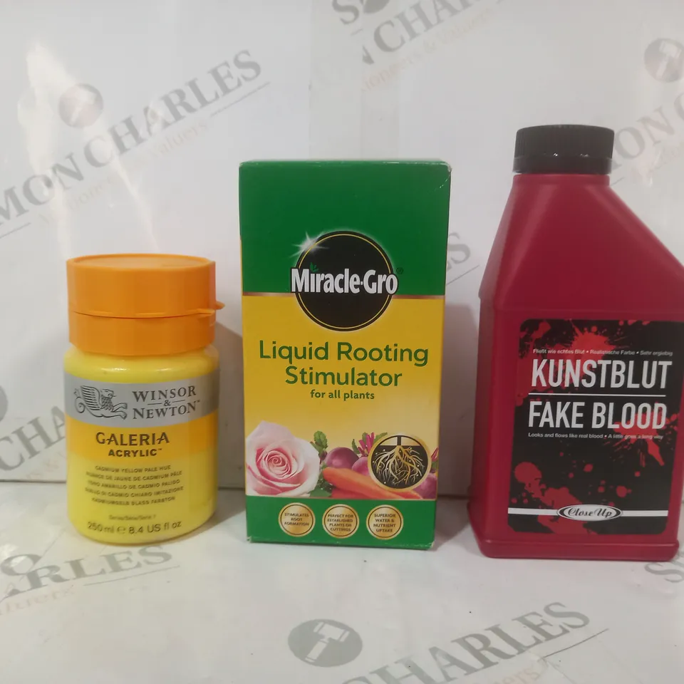 APPROXIMATELY 20 ASSORTED HOUSEHOLD ITEMS TO INCLUDE FAKE BLOOD, LIQUID ROOTING STIMULATOR, ACRYLIC PAINT, ETC