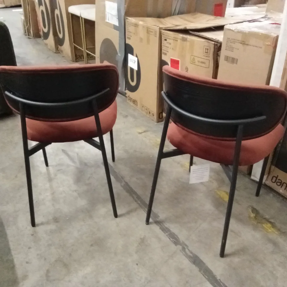 DANETTI CREE VELVET DINING CHAIR - SET OF 2