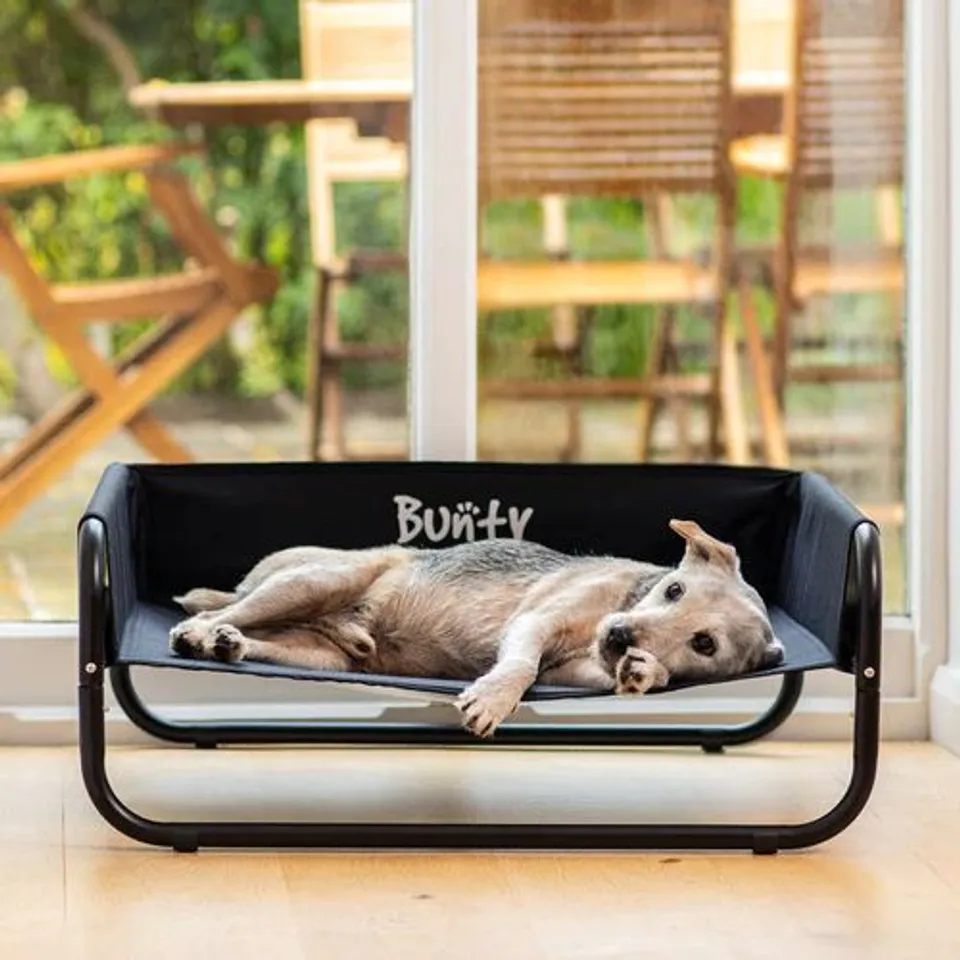 BUNTY SIDED ELEVATED PET BED LARGE