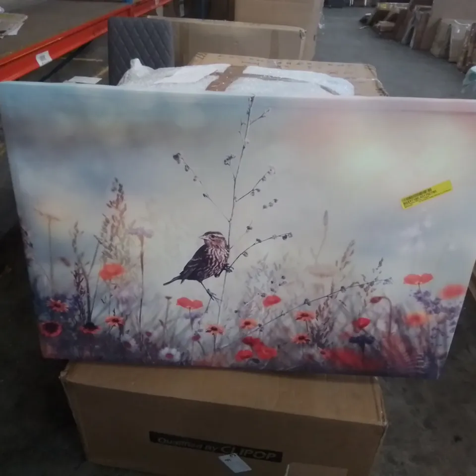 BIRD IN PARADISE WILD LIFE - WRAPPED CANVAS