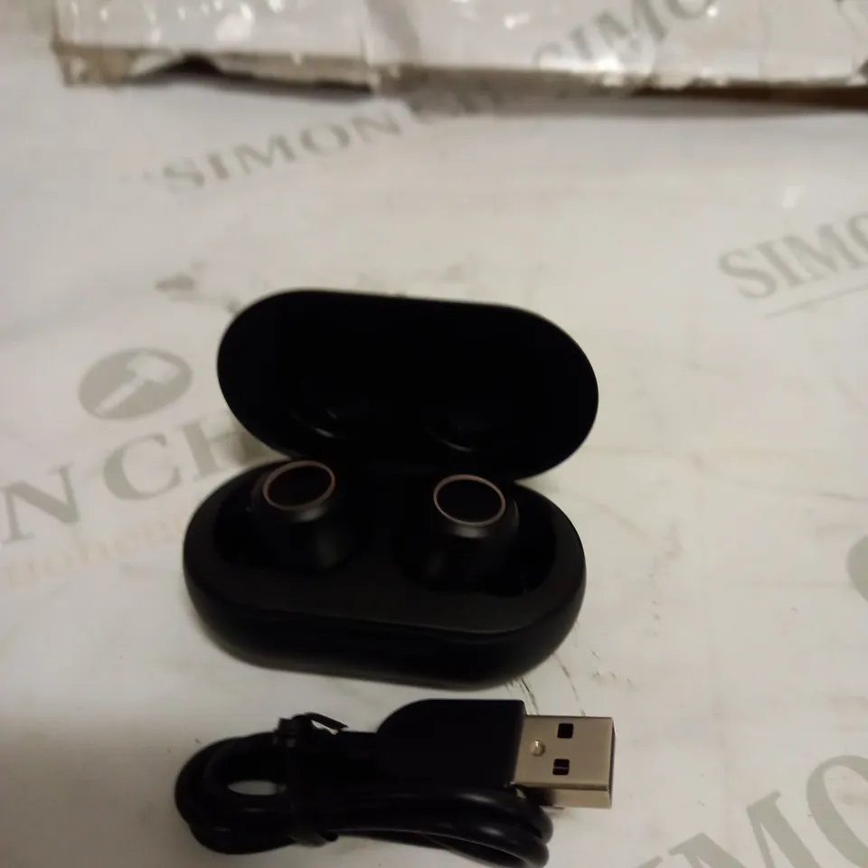 BLUETOOTH TRUE WIRELESS EARBUDS 