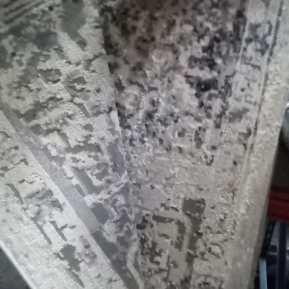 TAPISO VALLEY GREY VIZON RUG 300 * 400