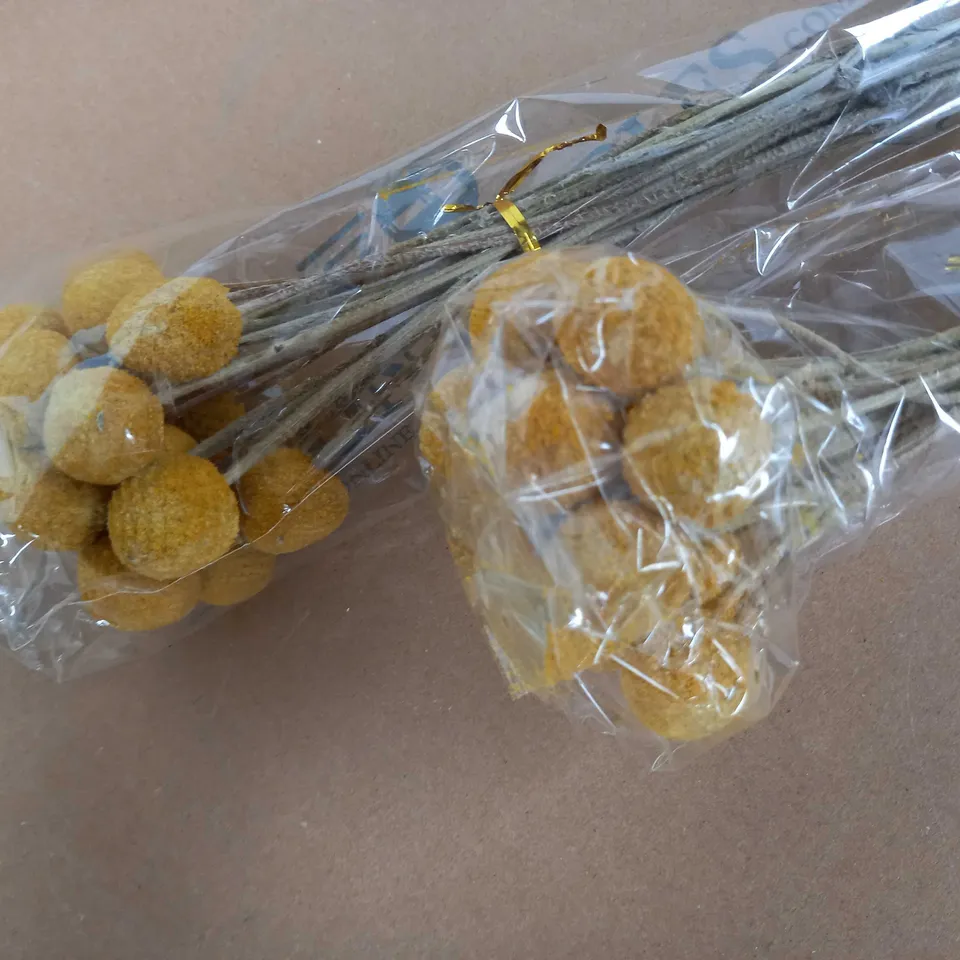 BOX OF 2 X WRAPPED BUNCHES OF DRIED FLOWERS (20 STEMS PER BUNCH/BOUQUET, CRASPEDIA, AS PER BOX LABEL), APPROX. 45 CM LONG IN TOTAL