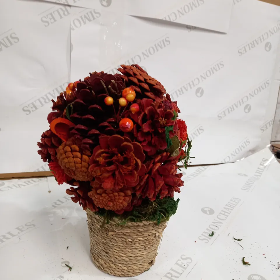 DESIGNER DECORATIVE PLANT