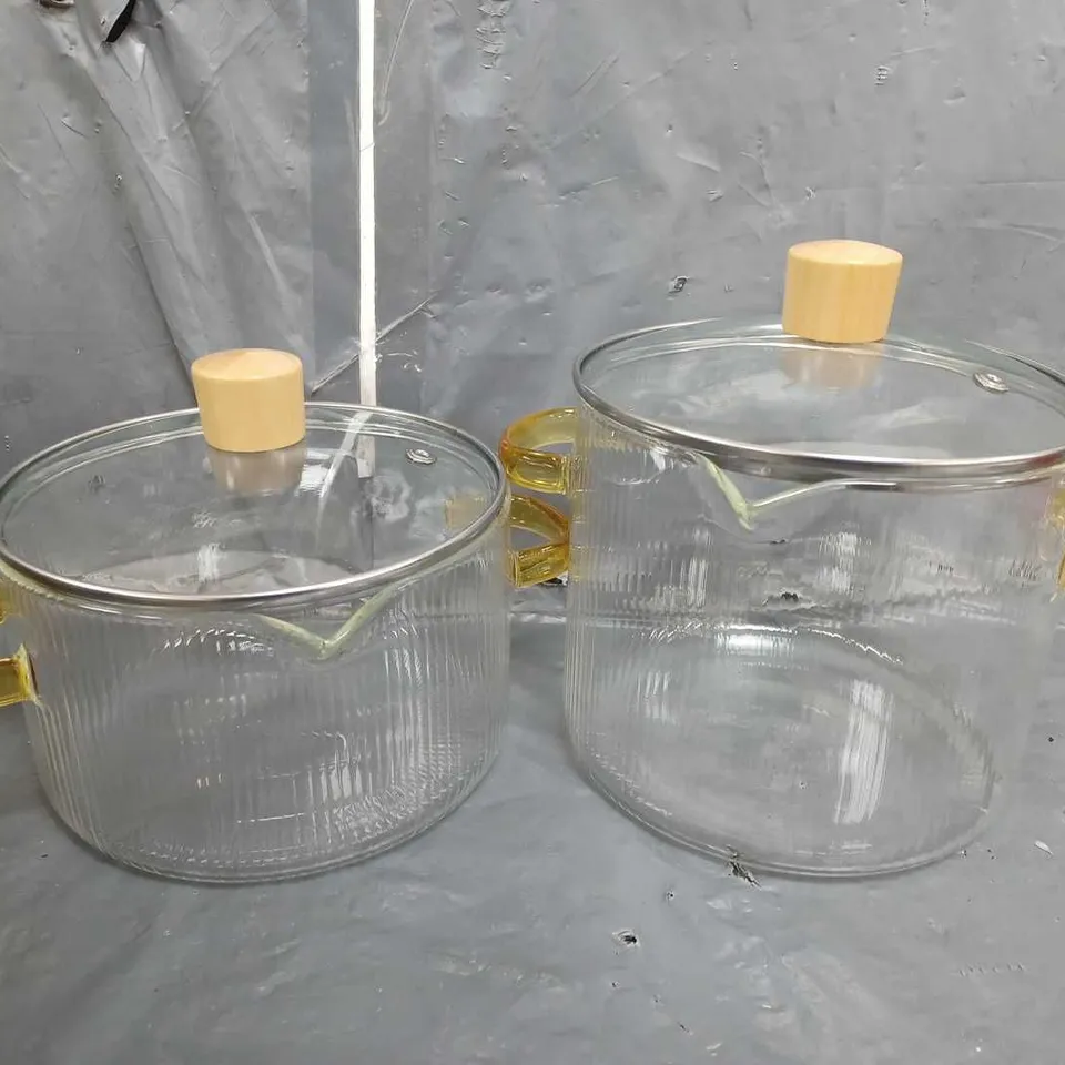 SET OF 2 UNBRANDED GLASS JUGS WITH LIDS