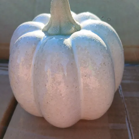APPROXIMATELY 36 BRAND NEW GISELA GRAHAM LONDON CREAM CERAMIC PUMPKIN ORNAMENT